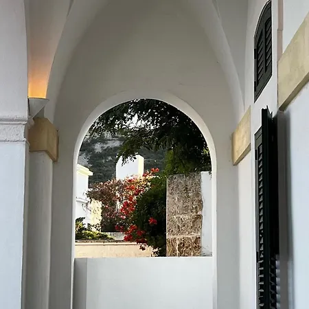 Iolanda * Marina Serra