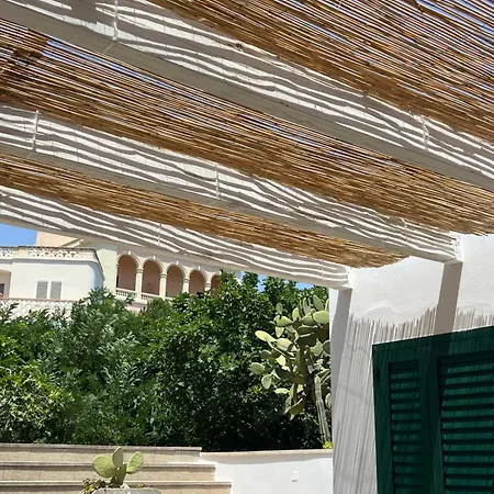 Iolanda * Marina Serra