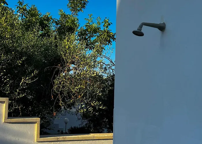 Iolanda * מרינה סרה