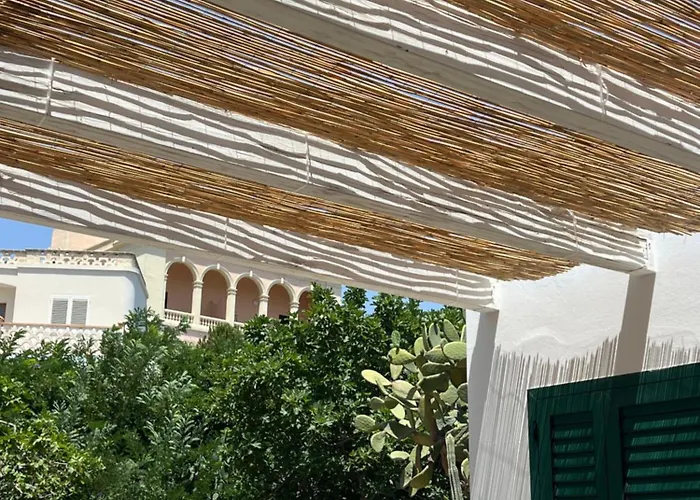 Iolanda * מרינה סרה